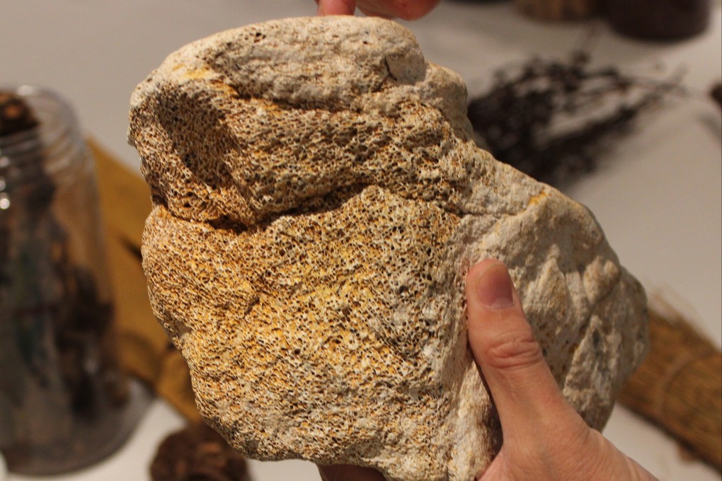 Ancient vertebrate animal fossils known as “dragon bones”, are revealing much about how early humans in China lived and played. Photo: Wikipedia