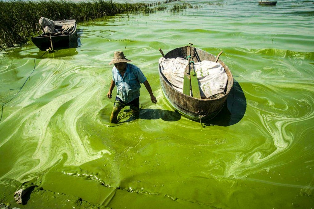 Nitrogen pollution can lead to harmful algal blooms in surface water, producing toxins that contaminate drinking water. Photo: X/WaterPolution20