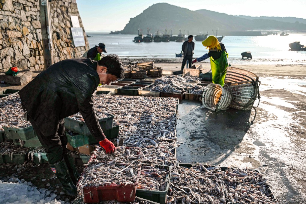 Beijing’s approach is being closely watched by many diplomats who believe China – one of the main countries granting fishing subsidies – should not take advantage of its status as a developing country. Photo: AFP