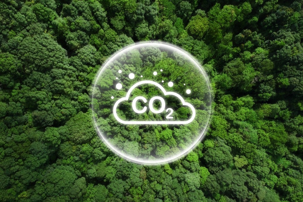 Conversion systems to harness carbon dioxide, the No 1 cause of global warming, have thus far been unviable outside the laboratory. Photo: Shutterstock