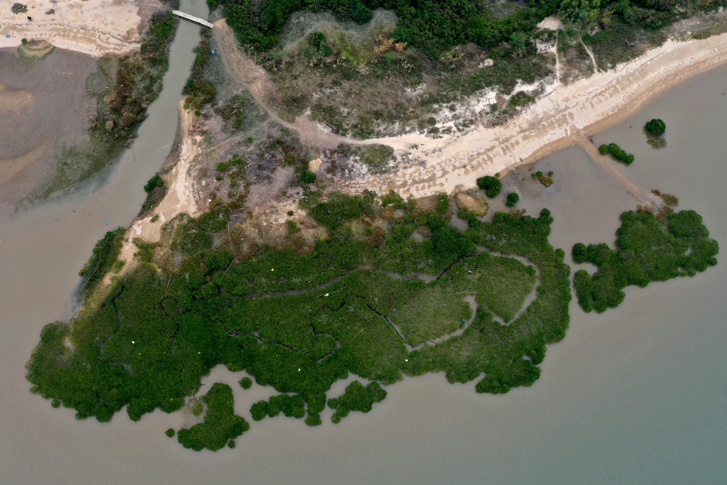 Mangrove forests and oyster farms along the coastline of Lau Fau Shan. Authorities are considering converting sections of the 411-hectare area into spaces for technology and tourism purposes. Photo: Nora Tam