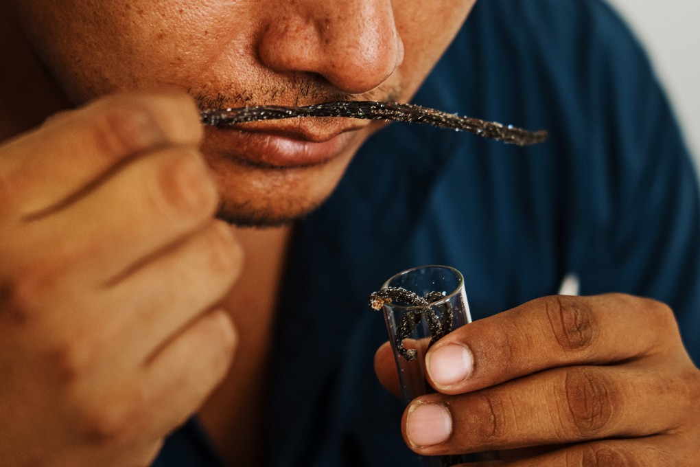 Eduardo Tepoxteco smells the different vanilla strains grown inside a laboratory in Papantla, Mexico. Those tied to Mexico’s vanilla industry are working to increase the spice’s local consumption and production. Photo: TNS
