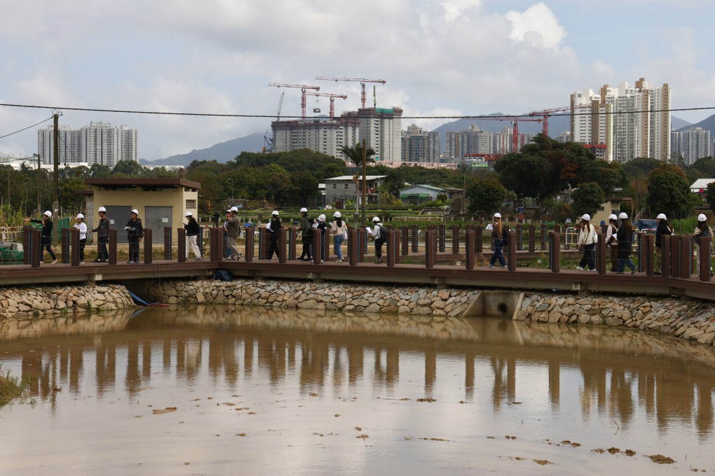 The San Tin Technopole will take up 610 hectares, with about half earmarked for innovation and technology use. Photo: Dickson Lee