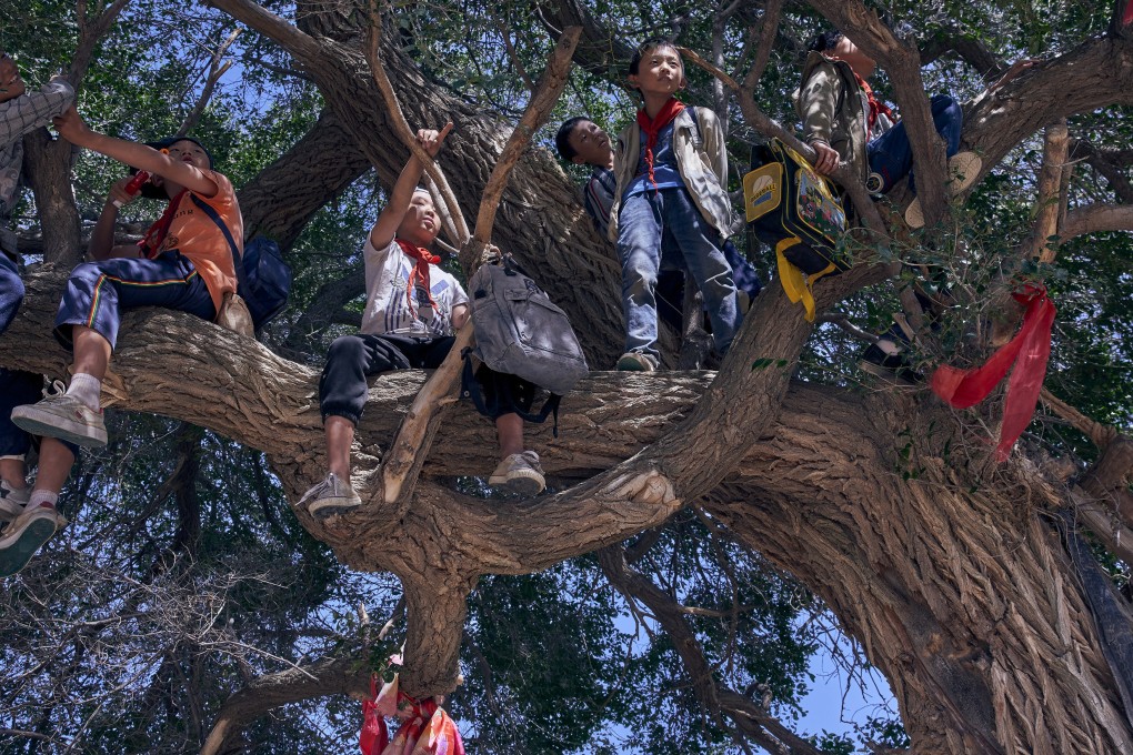 Above the Dust follows a 10-year-old boy in China who dreams of owning a water pistol, and who goes on a journey through his grandfather’s memories of the 1950s and his terrible misdeeds at the time.