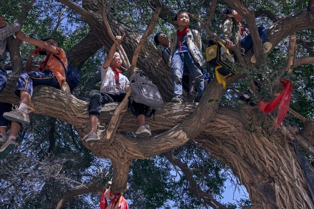 Above the Dust follows a 10-year-old boy in China who dreams of owning a water pistol, and who goes on a journey through his grandfather’s memories of the 1950s and his terrible misdeeds at the time.