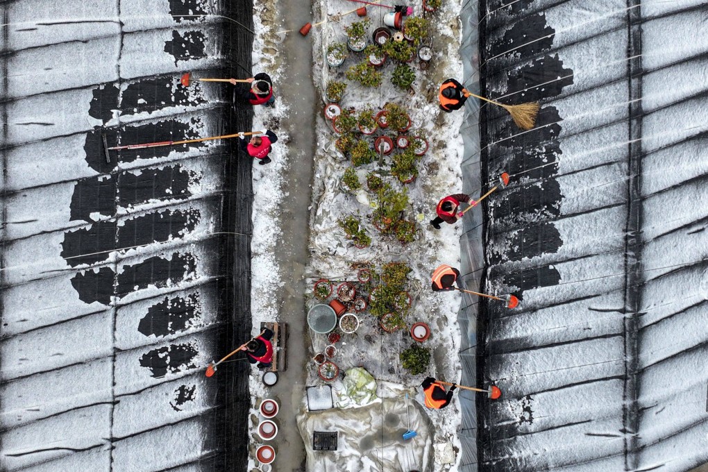 Workers remove snow from greenhouses in Huaian, in eastern China’s Jiangsu province last week. Photo: AFP