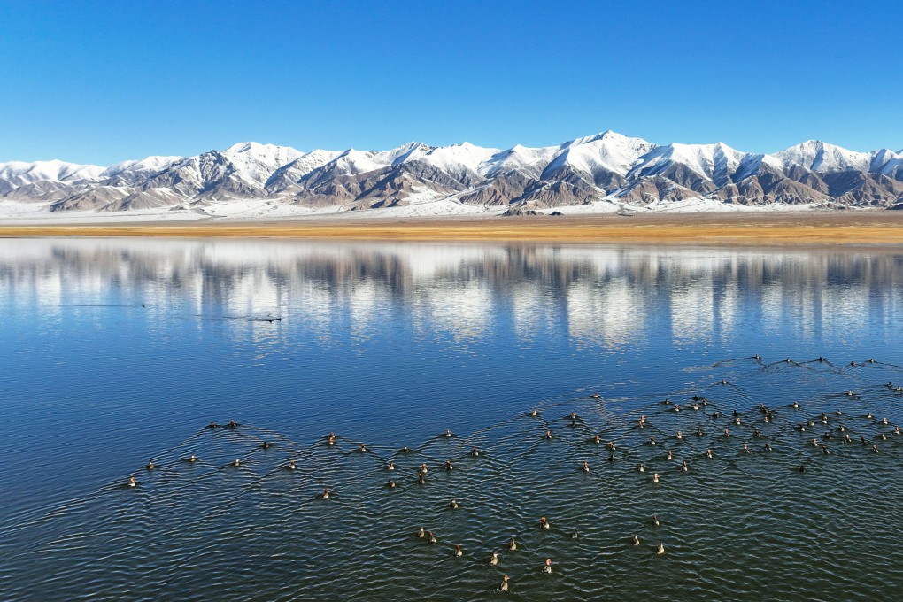 Water birds resting on a lake at the Altun Mountains National Nature Reserve in northwest China’s Xinjiang Uygur autonomous region. Photo: Xinhua