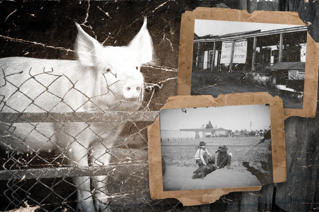 To establish a sense of community and familiarity in their new surroundings, Chinese immigrants in Los Angeles in the 19th century established pork butcher shops within their communities.
Photo: SCMP composite/Shutterstock/urn: cambridge.org