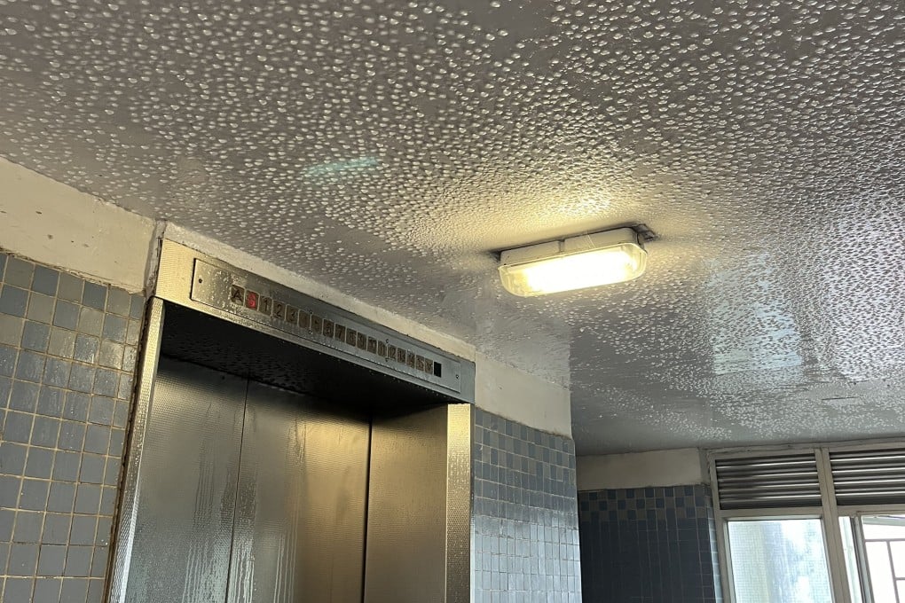 Moisture build-up on the ceiling in the entrance to a block of flats in Tsing Yi. Photo: Handout