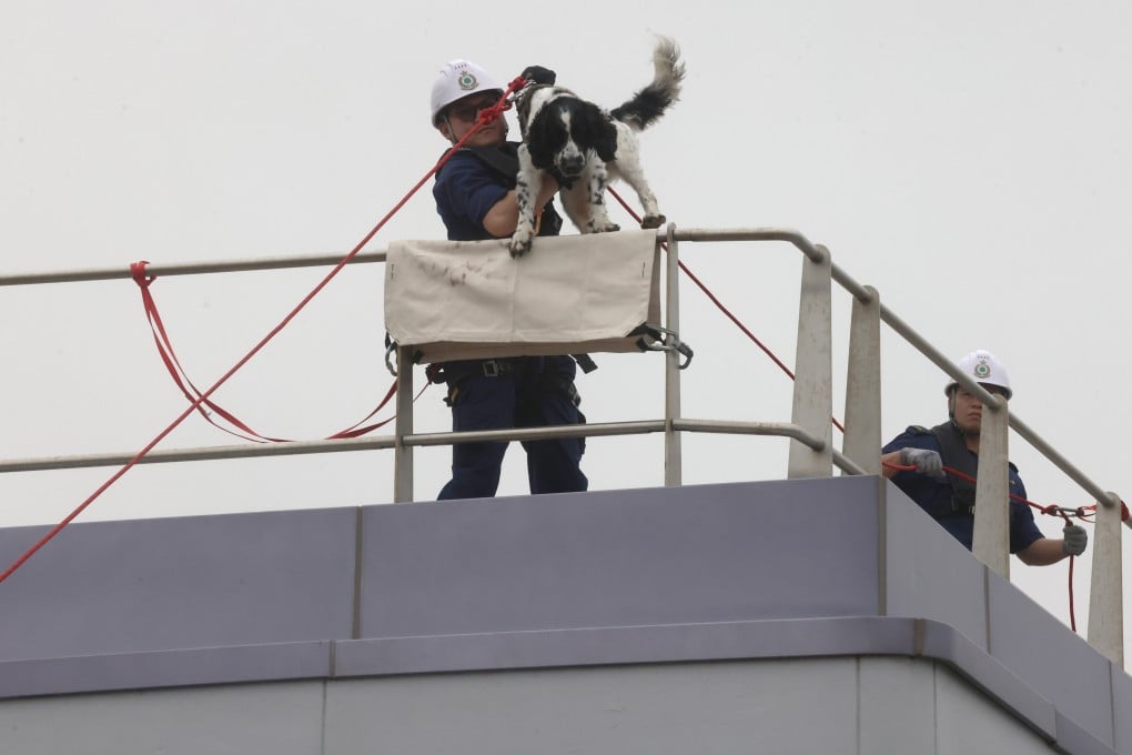 A demonstration at the World Customs Organisation Regional Dog Training Centre. Jonathan Wong