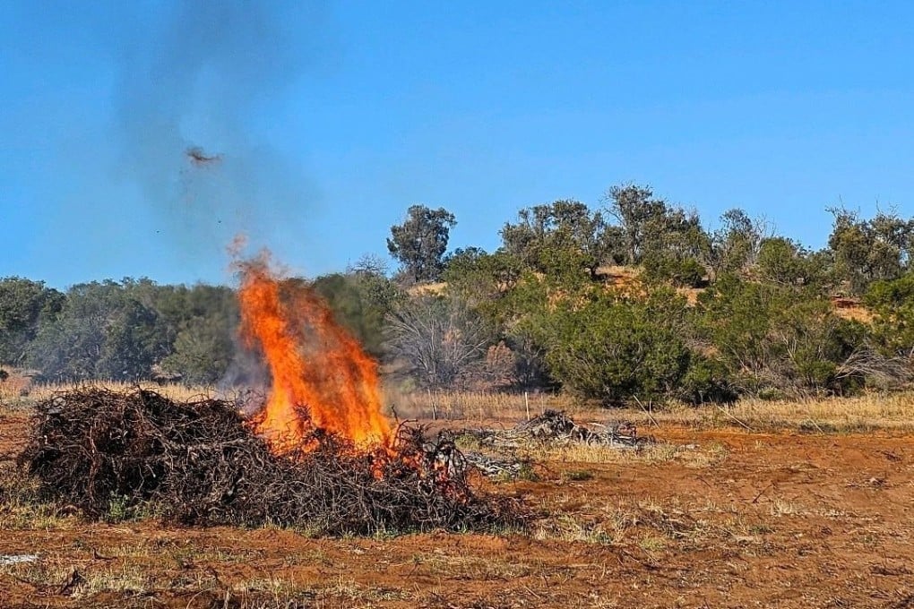 Vines ripped from the barren soil of grape grower Tony Townsend’s vineyard in South Australia are burned. Around the world winemakers are cutting back on inventories, and ripping up vines and replacing them because wine production is no longer profitable. Photo: Tony Townsend