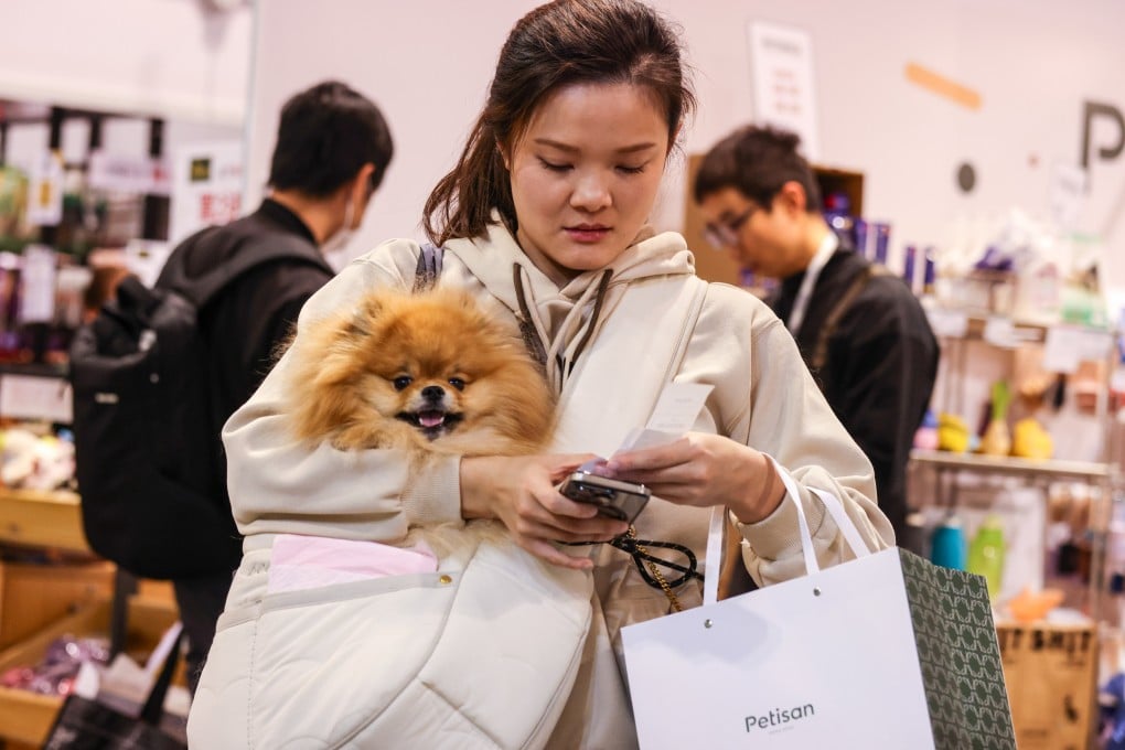 Owning pets has become increasingly popular in Hong Kong, with the number of cats, dogs, birds and other pets jumping by 50,000 to 1.19 million between 2018 and 2023, according to Statista. Photo: Yik Yeung-man