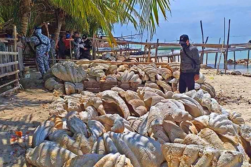 Philippine coastguard personnel inspecting seized giant clam shells in Roxas town, Palawan province on April 16, 2021. Photo: AFP