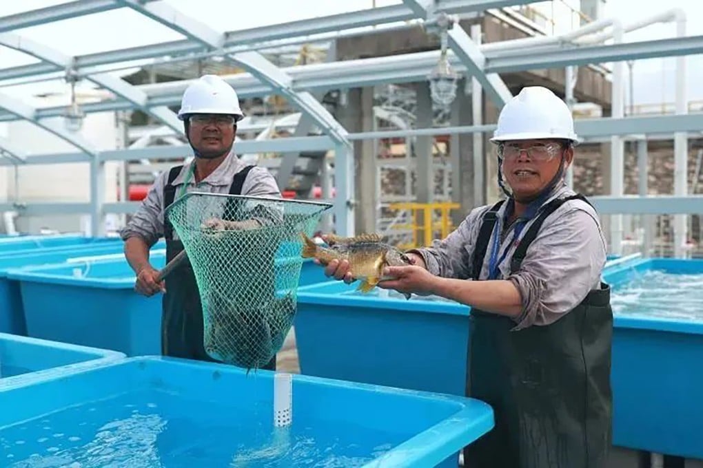A trial project has succeeded in cultivating high-value marine species, such as grouper, lobster and abalone. Photo: Handout