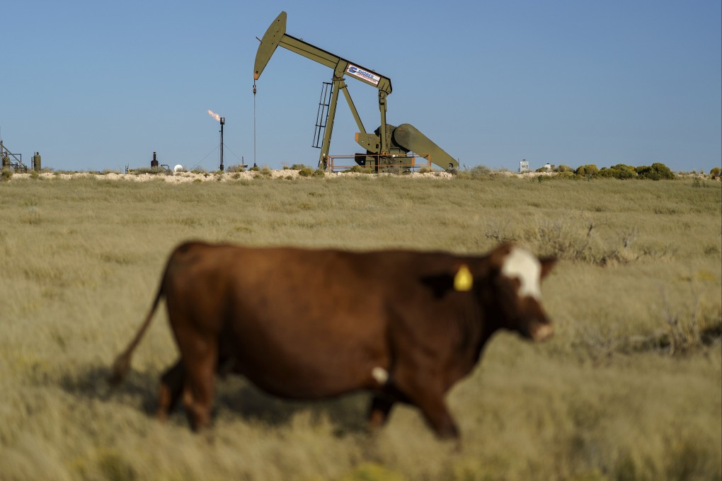 A cow walks through a field in front of an oil pumpjack and a flare burning off methane and other hydrocarbons in the US state of New Mexico. Photo: AP