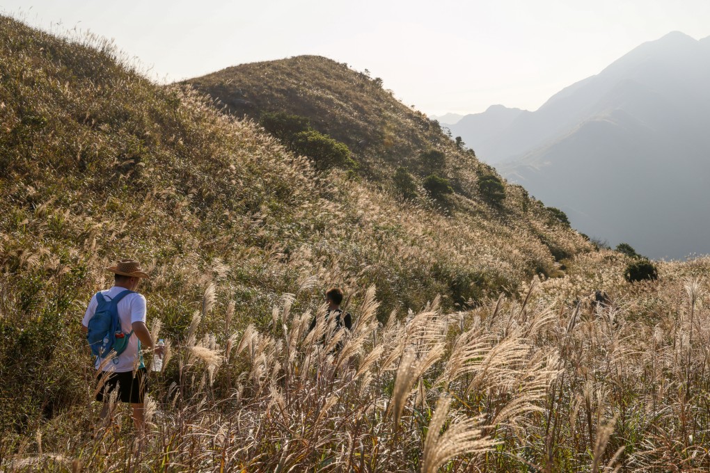 Sunset Peak on Lantau Island. The “HKSOS” app has been downloaded 57,002 times in two months. Photo: Dickson Lee