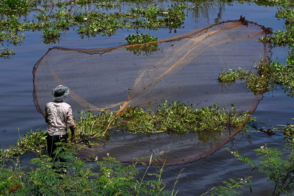 A man throws a fishing net into a lake in Kandal province in the Mekong Delta. Photo: AFP
