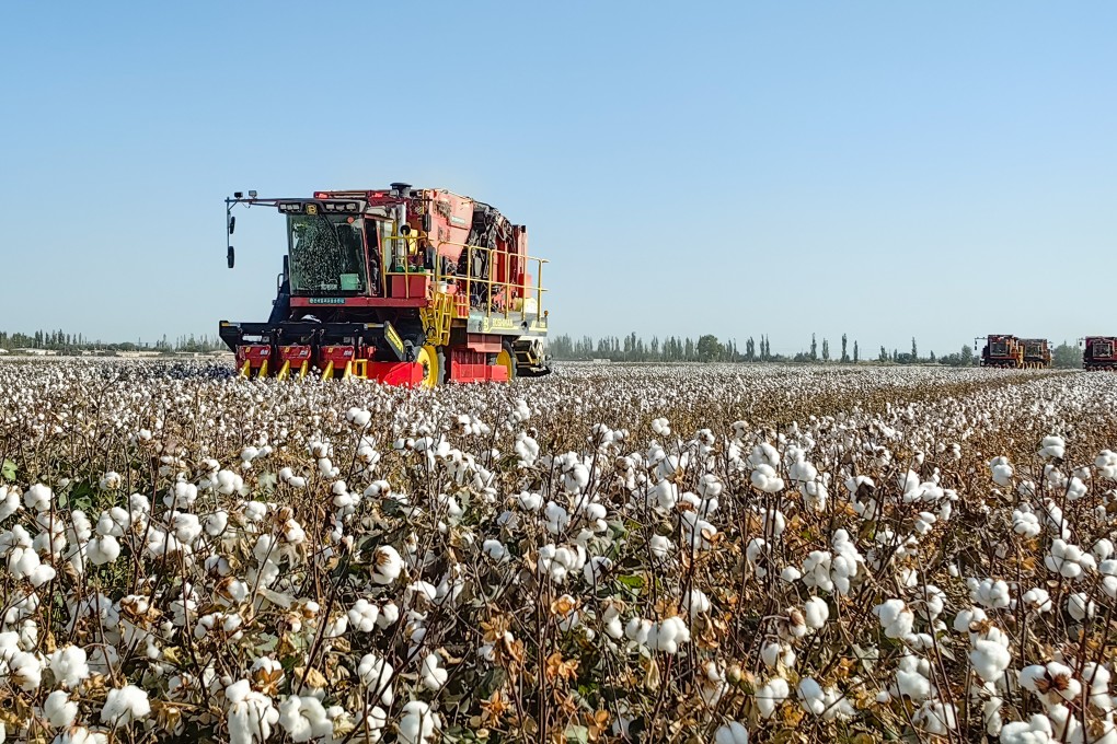 Farmers harvesting cotton in Korla in northwest China’s Xinjiang Uygur autonomous region in October. The EU has alleged that human rights abuses are taking place in Xinjiang. Photo: Xinhua