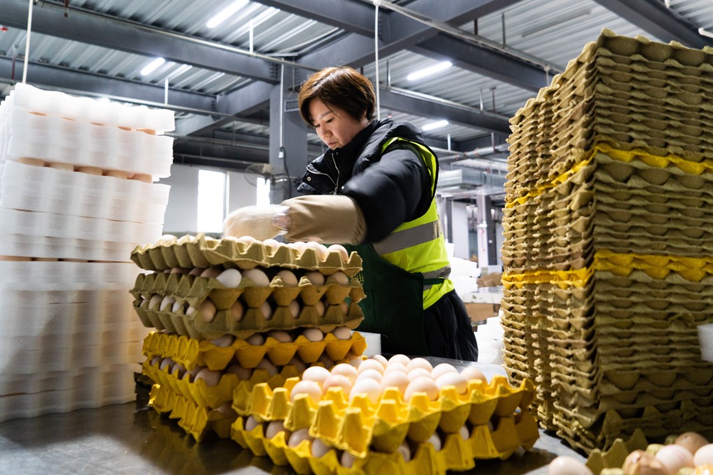 China had around 298 million migrant workers at the end of 2023, with their average monthly income dropping by 3.6 per cent rise to 4,780 yuan (US$664). Photo: Xinhua