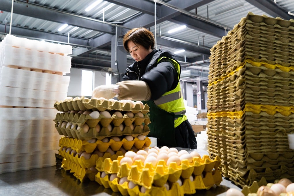 China had around 298 million migrant workers at the end of 2023, with their average monthly income dropping by 3.6 per cent rise to 4,780 yuan (US$664). Photo: Xinhua