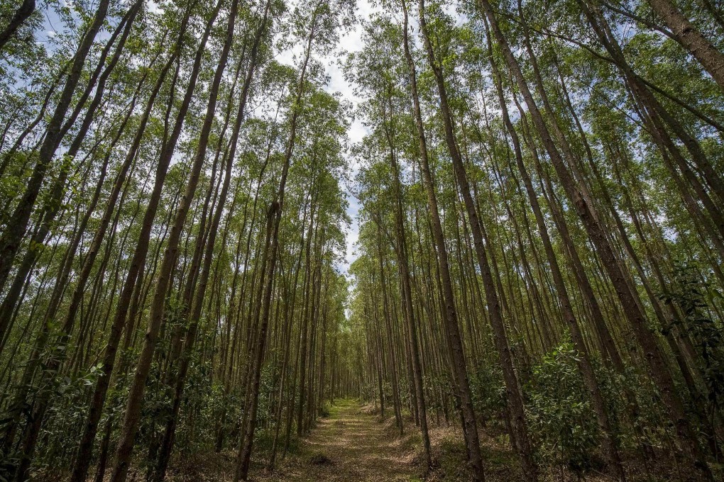 RGE believes that the principles of sustainable forest management are critical to generating enduring economic growth and long-term social benefits, which are key to operating at the heart of the bioeconomy.