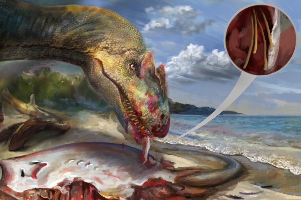 A hypothetical reconstruction of how part of a tapeworm could have become trapped in amber found by a China-led team of researchers. Illustration: Yang Dinghua