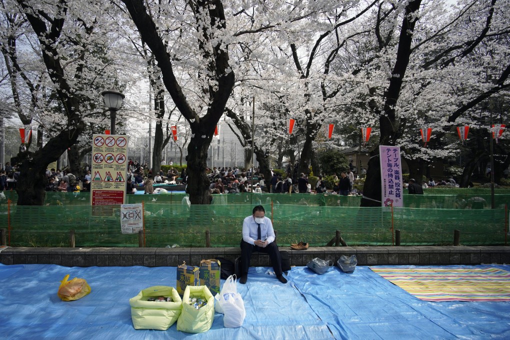 A man sits under cherry blossoms in full bloom at Ueno Park in Tokyo, Japan, while waiting for his co-workers to join for their company ‘hanami’ party.  Photo: EPA-EFE