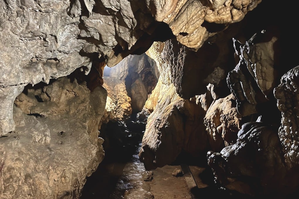 The inside of a cave in the East Khasi Hills, Meghalaya, India. Photo: Meenakshi J