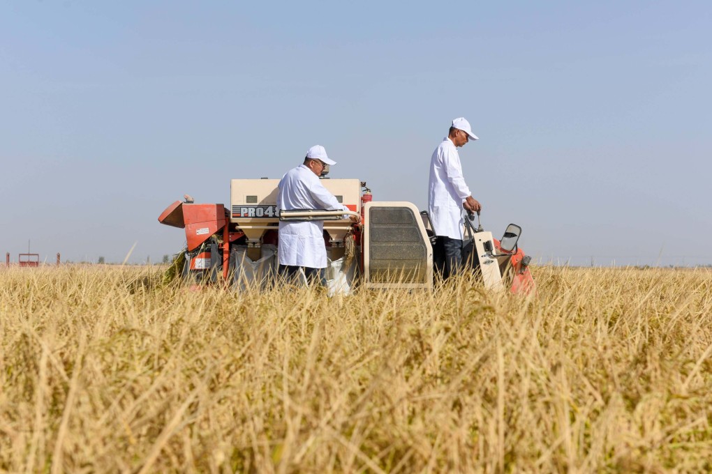 Genetically modified (GM) Soybeans, corn, cotton and papaya are approved to be grown for commercial purposes in China. Photo: Xinhua