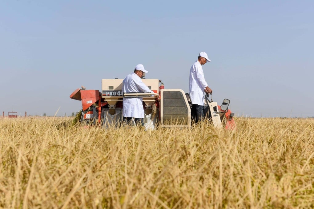 Genetically modified (GM) Soybeans, corn, cotton and papaya are approved to be grown for commercial purposes in China. Photo: Xinhua