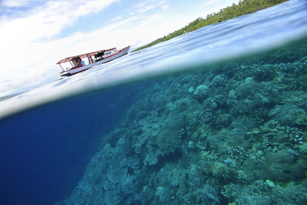 Corals and mangrove grow at the protected Bunaken Island marine national park in Manado, North Sulawesi, Indonesia. Southeast Asia’s coastline is at risk from climate change, but taking urgent action such as relocating populations and planting mangrove forests can help mitigate its effects. Photo: AFP