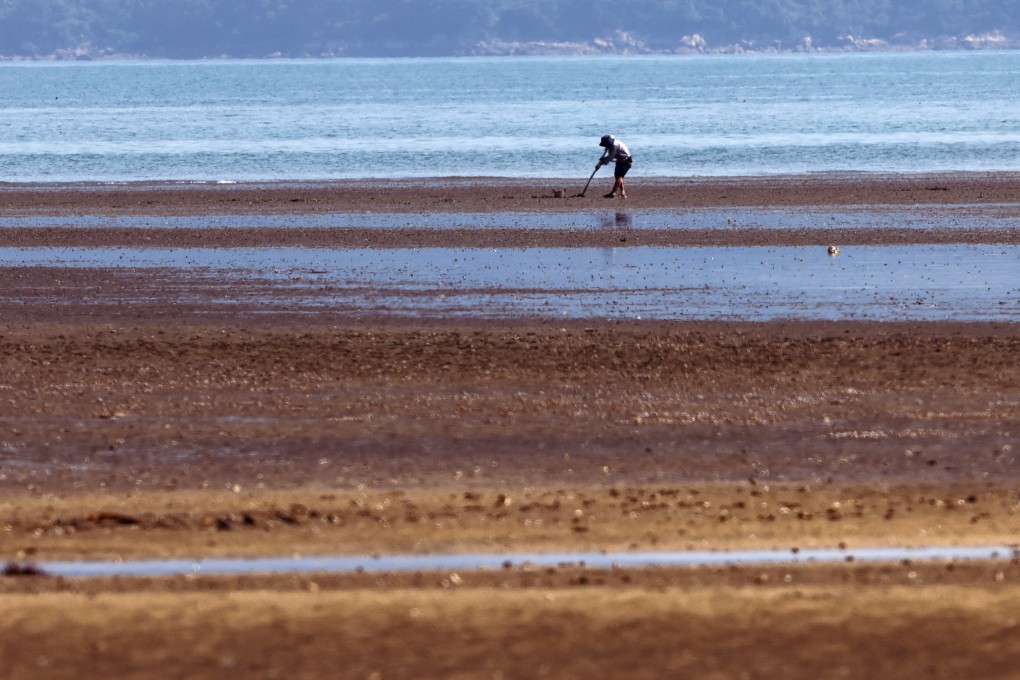 A woman digs the beach in Shui Hau in South Lantau in November 2023. Photo: Dickson Lee