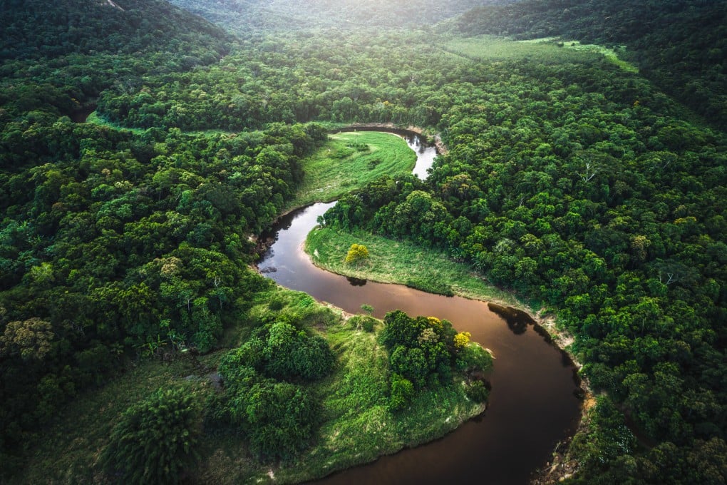 Brazil will host the COP30 climate talks in Belem in the Amazon rainforest (above) in 2025, hoping to boost the country’s eco-tourism credentials. Photo: Getty Images