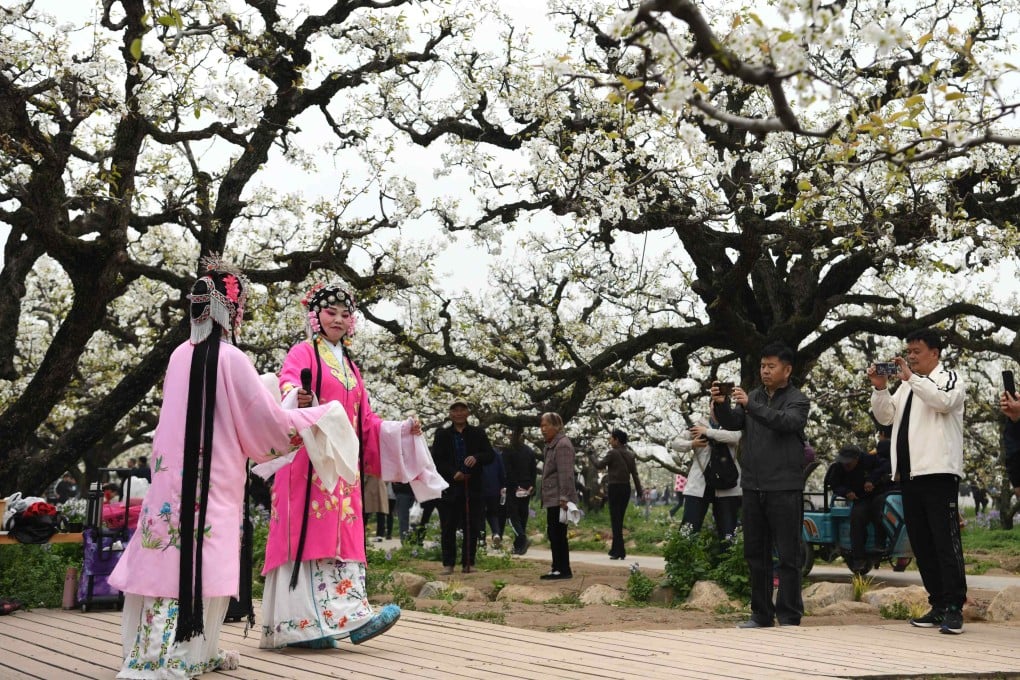 Tourists watch a folk art performance among pear blossoms in Dangshan, east China’s Anhui province, on April 2. China’s domestic tourism has recovered but it’s a different story for international travel. Photo: Xinhua