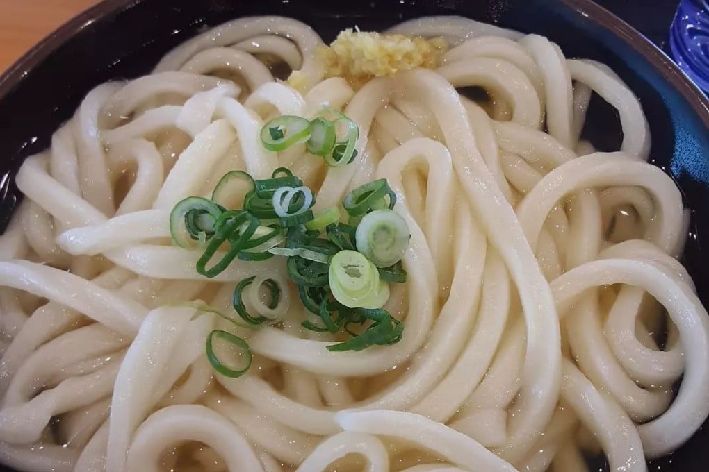 Sanuki udon. Columnist Wee Kek Koon was won over to the merits of the chewy white wheat noodle on a trip to Kagawa, Shikoku, Japan. Photo: Instagram/udonken.t