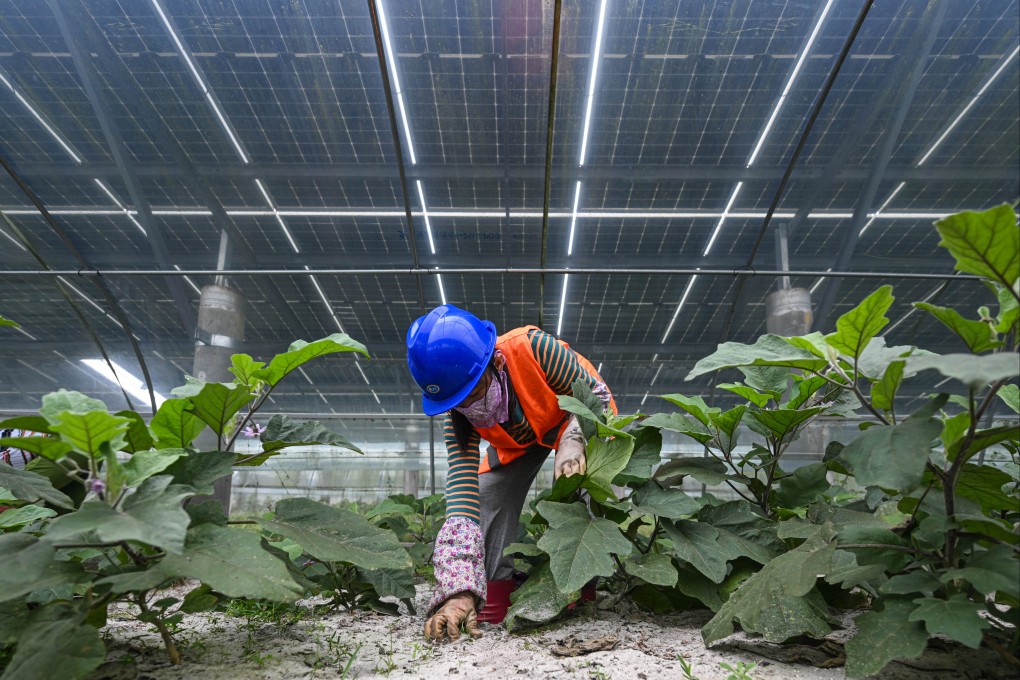 Grain yields have been named as a major priority as China pursues food security in an increasingly uncertain global food environment. Photo: Xinhua