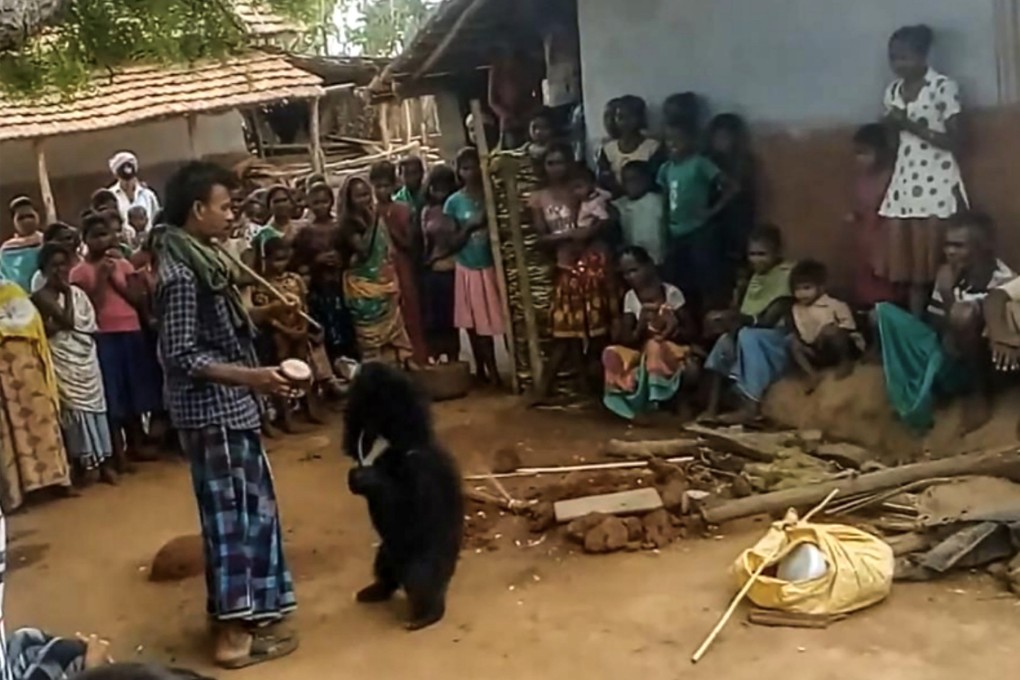 A sloth bear is seen being forced to dance and perform tricks for villagers’ entertainment in Bari Naki, India’s Bihar state. Photo: Handout