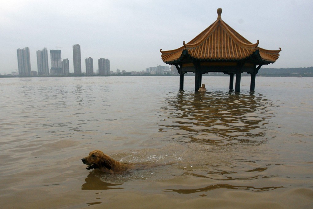 Researchers from China and the US have found around one-third of China’s population in 82 studied cities live in regions subsiding faster than 3mm a year, while 7 per cent live in areas subsiding faster than 10mm a year. Photo: Reuters