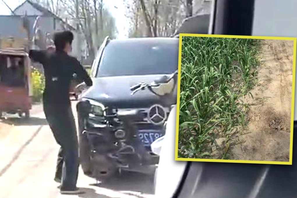 A woman farmer in China went berserk and smashed up a man’s luxury car with a brick after he drove over and crushed some of her carefully planted garlic seedlings on a roadside. Photo: SCMP composite/Douyin