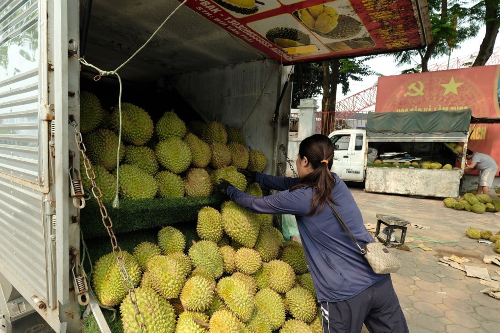 Vietnamese durian shipments into China reached 45 million kilograms in the first quarter, compared to 27.3 million kilograms from Thailand. Photo: EPA-EFE