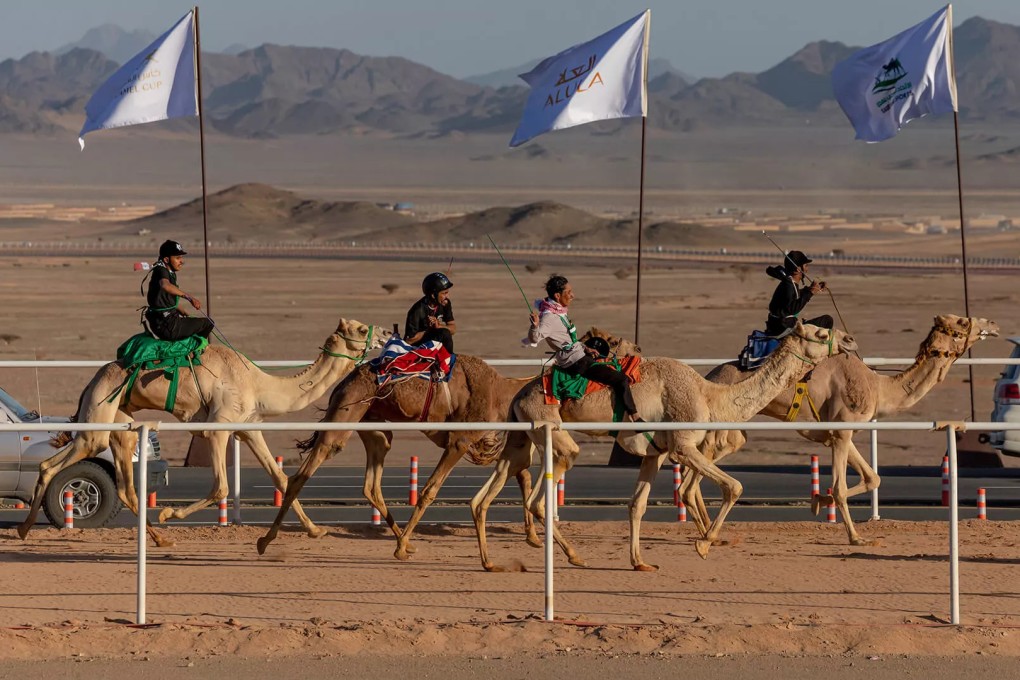 Grammy winning rapper Swizz Beatz has entered his camel racing team into a four-day race (above) in Saudi oasis city AlUla, which is undergoing a US$15 billion renovation, part of an ambitious tourism plan. Photo: Royal Commission for AlUla