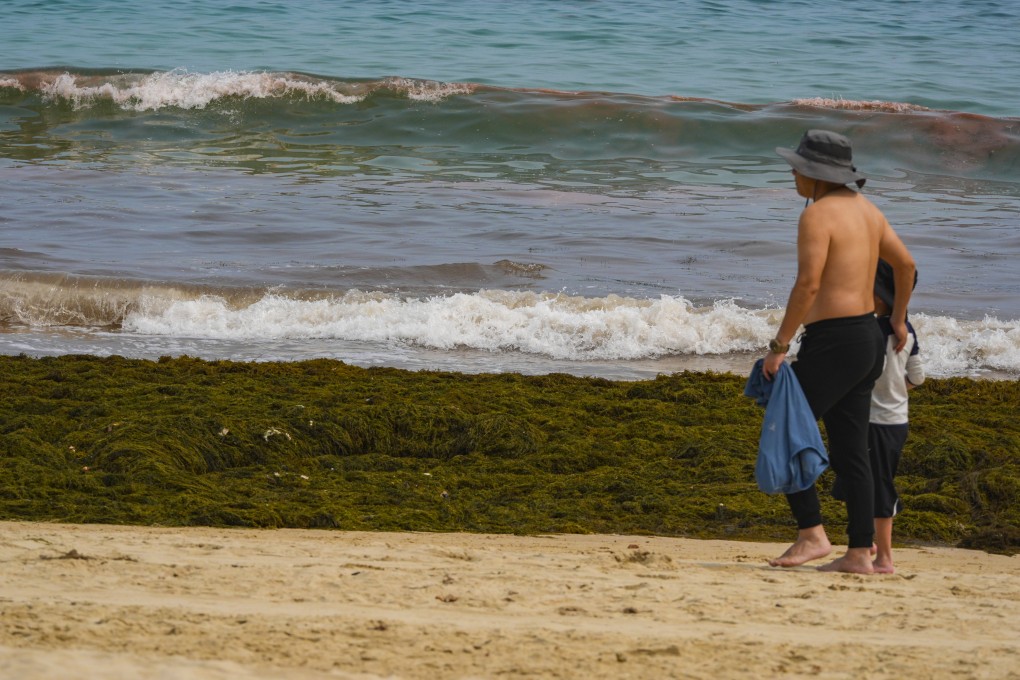 A red tide blooms at Shek O Beach last month. Photo: Eugene Lee