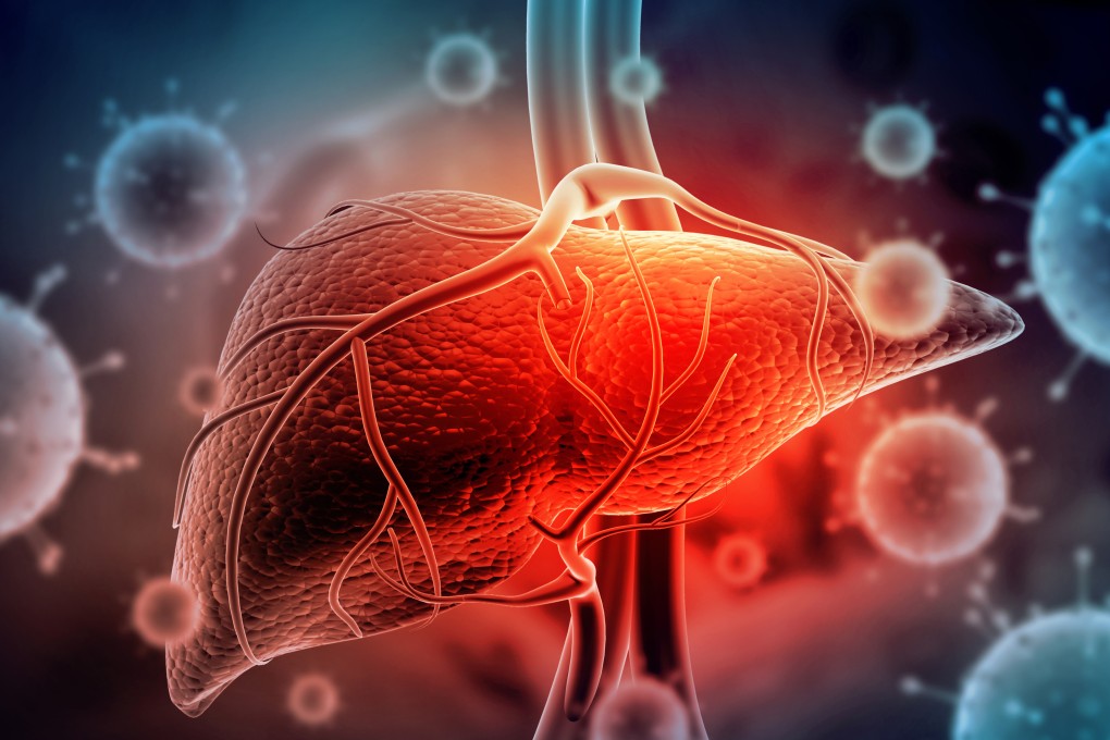 A survey published by the Department of Health last December found the prevalence rate of hepatitis B among 2,000 interviewees aged 15 to 84 was 6.2 per cent. Photo: Shutterstock
