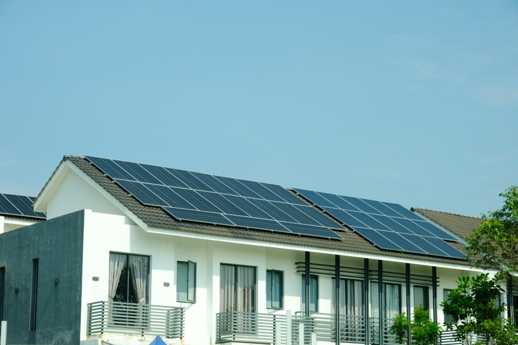 A South Korean man was jailed for murdering his neighbour after the person’s peach tree blocked the sunlight from reaching the solar panels of the defendant. Photo: Shutterstock