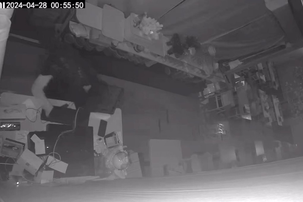 A screengrab of the security camera footage shows the burglar (far left) in the shop. Photo: Handout