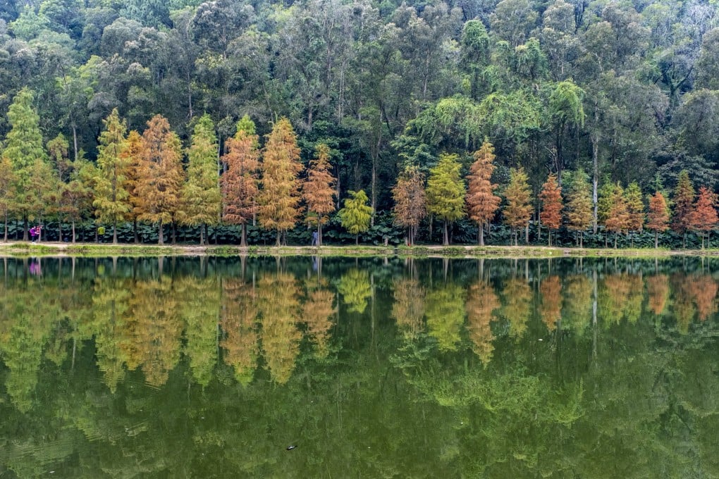 Lau Shui Heung Reservoir, one of the most popular hiking trails in Hong Kong, on December 20. Most of Hong Kong’s underappreciated natural attractions are within 45 minutes of the city centre. Photo: Yik Yeung-man