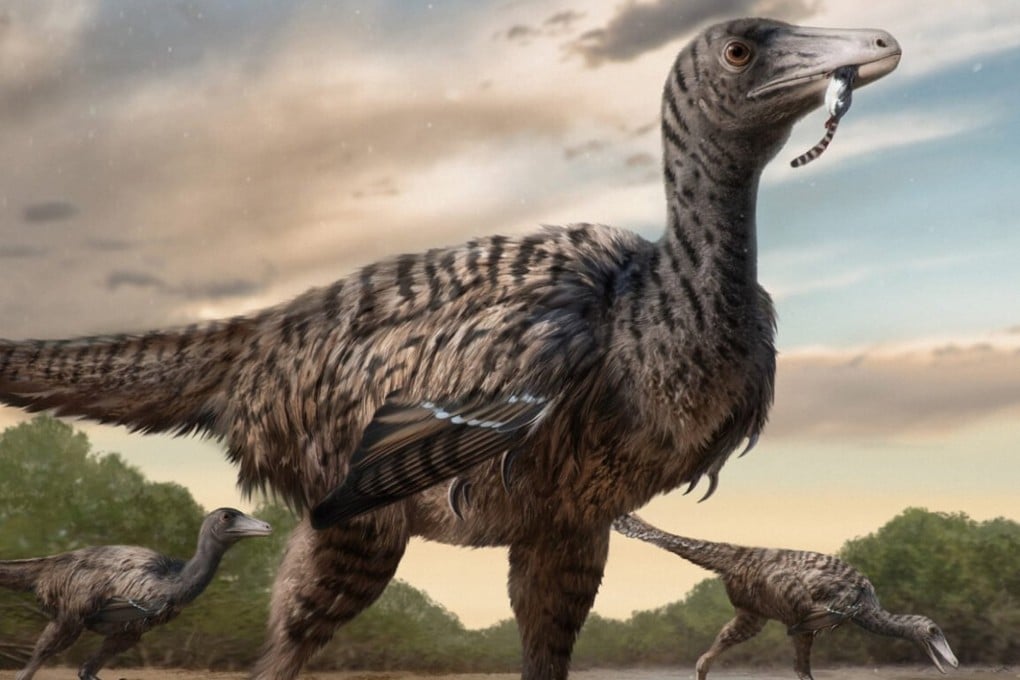 Giant raptors such as the Fujianipus yingliangi might have surpassed similar dinosaurs in size as they shifted to eating larger prey and began “invading niches further up the food chain”, according to researchers. Photo: iScience