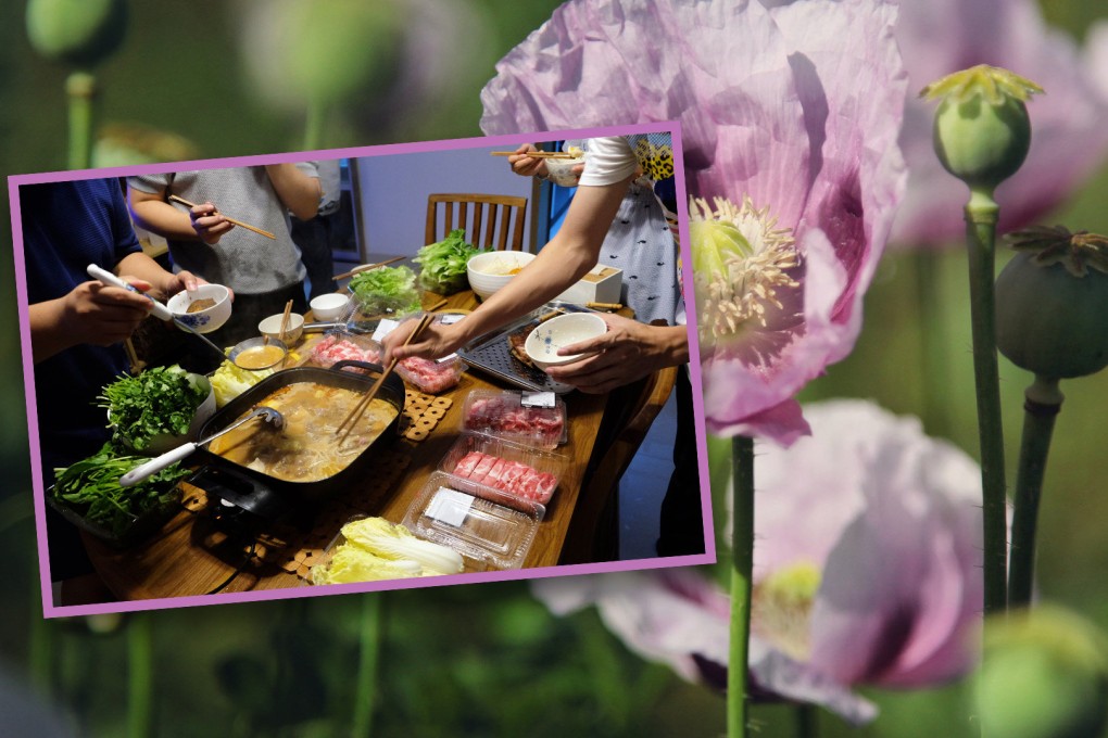 A woman in China who was handed a six-month suspended prison term for growing opium poppies on the roof of her home says she used them for cooking her favourite homemade dishes. Photo: SCMP composite/Shutterstock