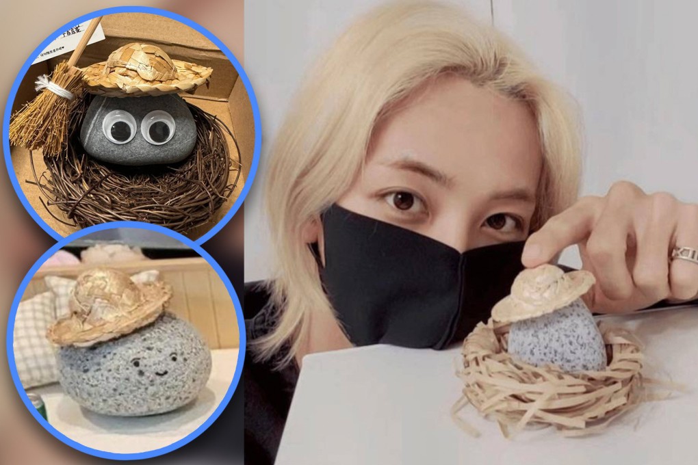 Burned-out and lonely young people in South Korea are finding peace, friendship and sanity by keeping stones as pets. Photo: SCMP composite/Xiaohongshu/Instagram
