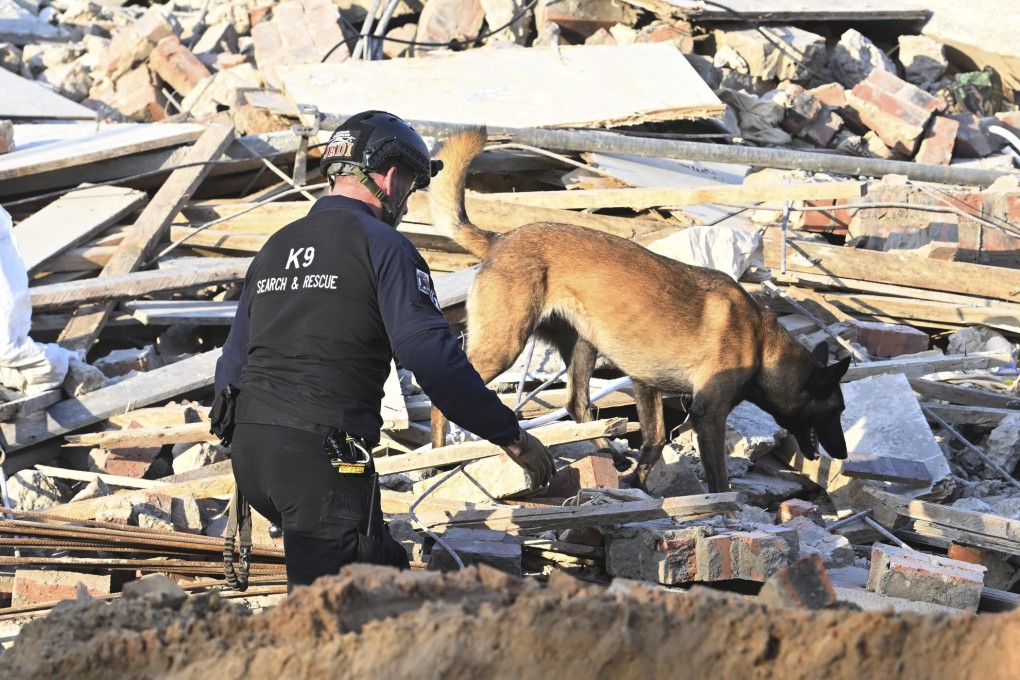 A sniffer dog with an emergency worker on the scene of a collapsed building in George, South Africa on Tuesday. Photo: AP